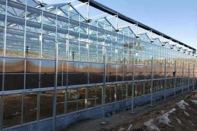 大棚薄膜 現代農業的“隱形守護者”