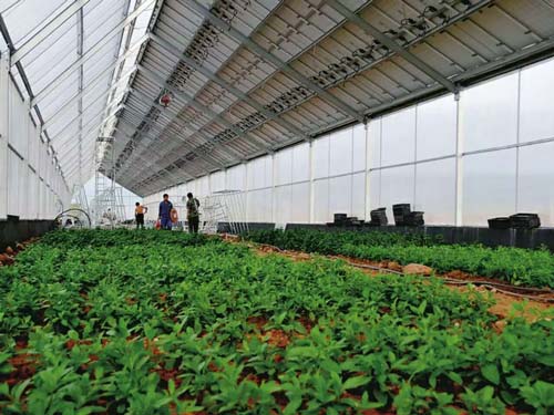 楚宏農業 專業打造昆明溫室大棚，助力高原特色農業發展