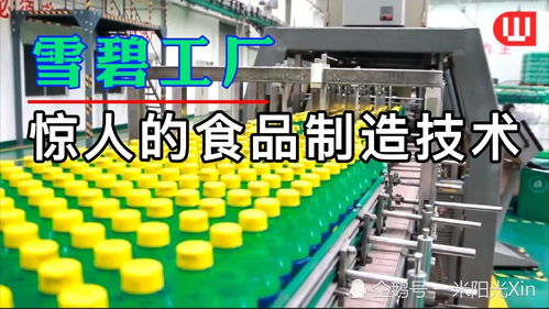 雪碧工廠 食品制造技術(shù)與軟件開發(fā)的完美融合