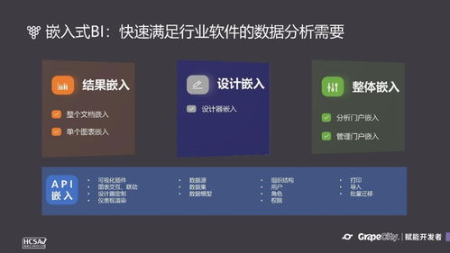 低代碼與嵌入式BI 中小軟件公司提速成長的雙引擎